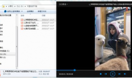 视频搬运,揭秘内容传播的奥秘